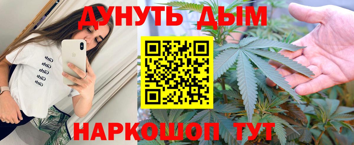 Бошки Шишки планчик Железногорск